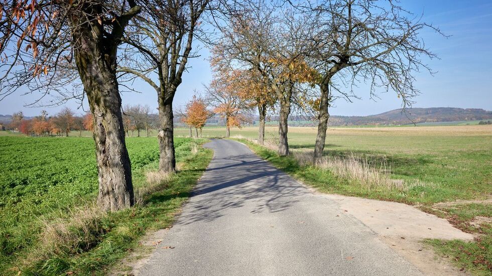 Auf dieser Straße kam es zu dem Unfall.
