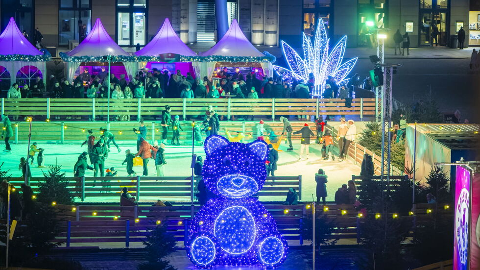 Der bekannte lila Teddy durfte vom Augustusmarkt auf der Hauptstraße auf den Altmarkt umziehen Der bekannte lila Teddy durfte vom Augustusmarkt auf der Hauptstraße auf den Altmarkt umziehen