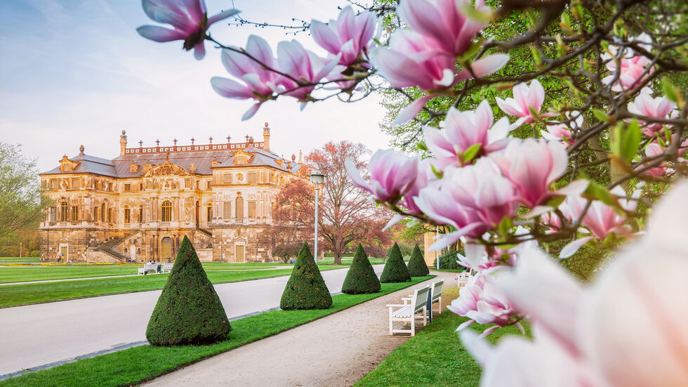 Frühling am Palais im Großen Garten Dresden Frühling am Palais im Großen Garten Dresden