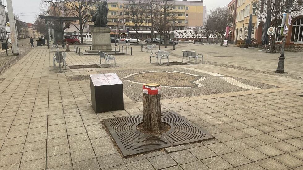 Baumstumpf auf Hauptmarkt-Ostspiegel