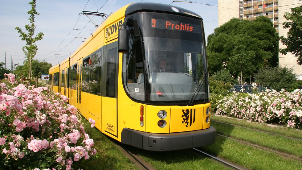 Mehrere Straßenbahnen der DVB, darunter die Linie 9, werden umgeleitet. (Archivbild) Mehrere Straßenbahnen der DVB, darunter die Linie 9, werden umgeleitet. (Archivbild)