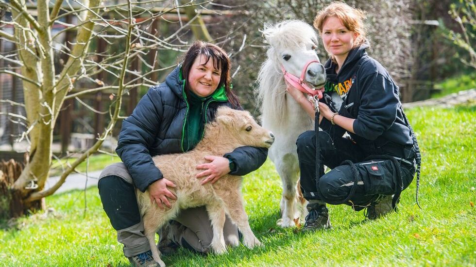 Winzling Leni ist der Star des Ostersonntags.