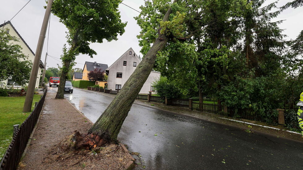 In Niederlungwitz hat der Sturm diesen alten Baum fast umgeblasen.