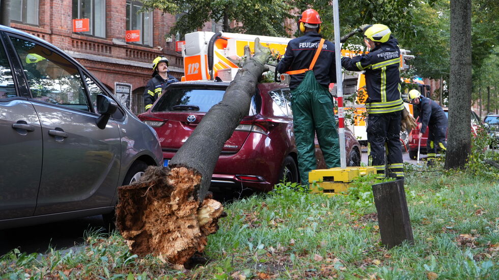 Der Baum krachte in der Erich-Zeigner-Allee auf ein parkendes Auto.