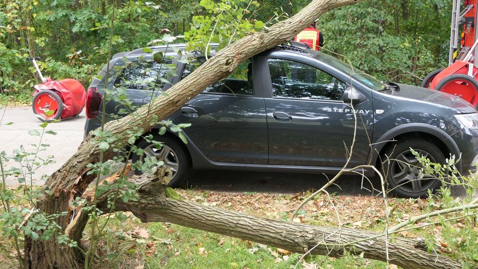 Der Baum kippte auf das Dach eines parkenden Dacia.