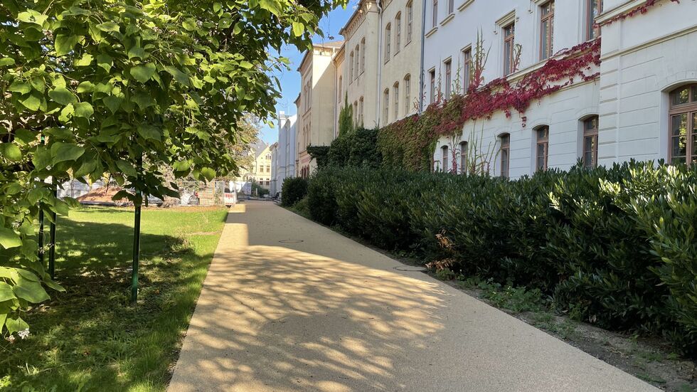 Sieht dem alten Sandweg sehr ähnlich, hat aber eine moderne Deckschicht: der neue Abschnitt vor der WHZ 