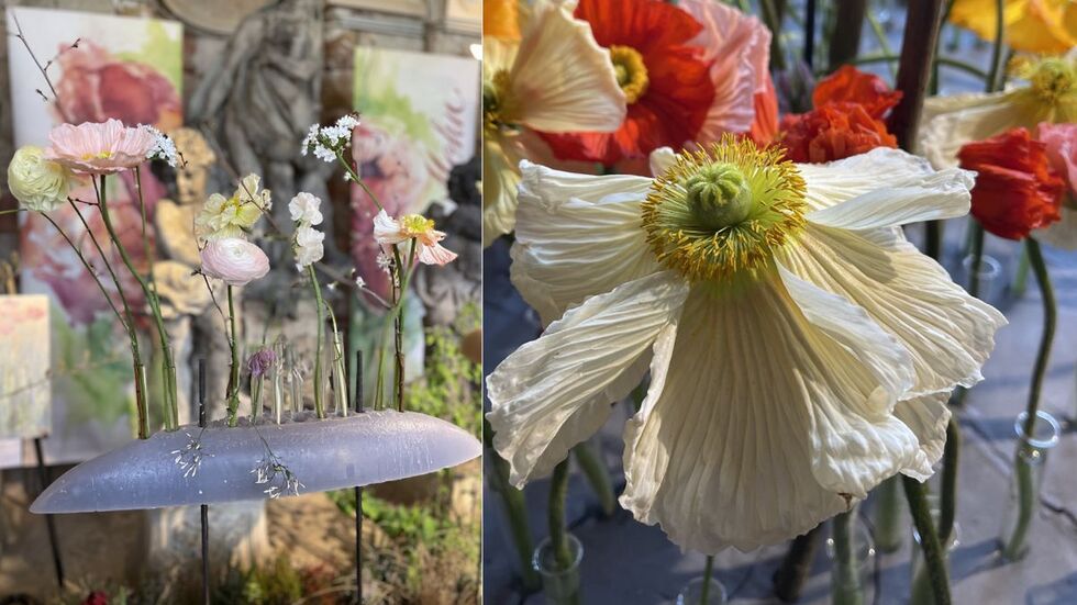 Impressionen aus der Blumenschau.