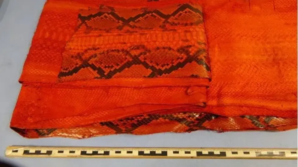 ... rötlich.