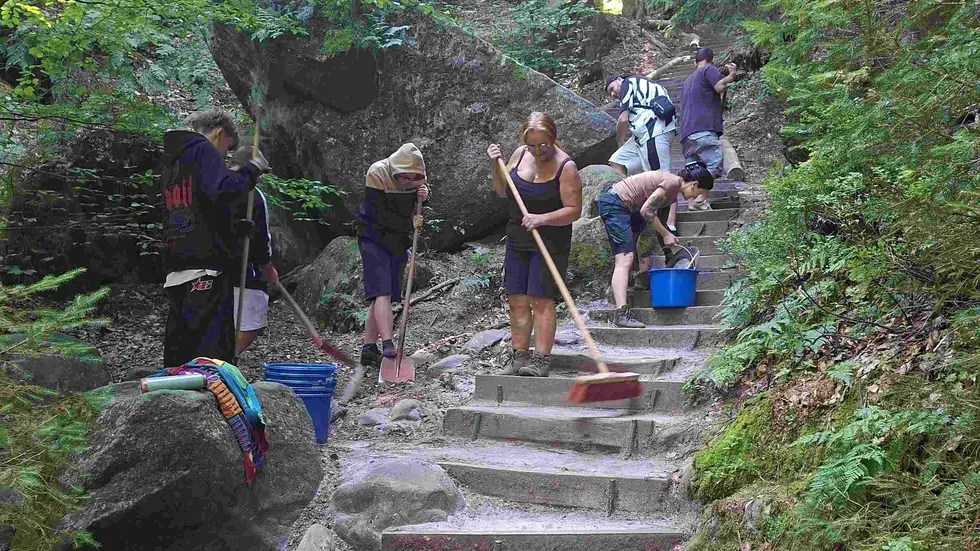 Unterstützung erhielt die Nationalpark- und Forstverwaltung von Sachsenforst auch von sechs Jugendlichen der Integrationsgesellschaft Sachsen Unterstützung erhielt die Nationalpark- und Forstverwaltung von Sachsenforst auch von sechs Jugendlichen der Integrationsgesellschaft Sachsen