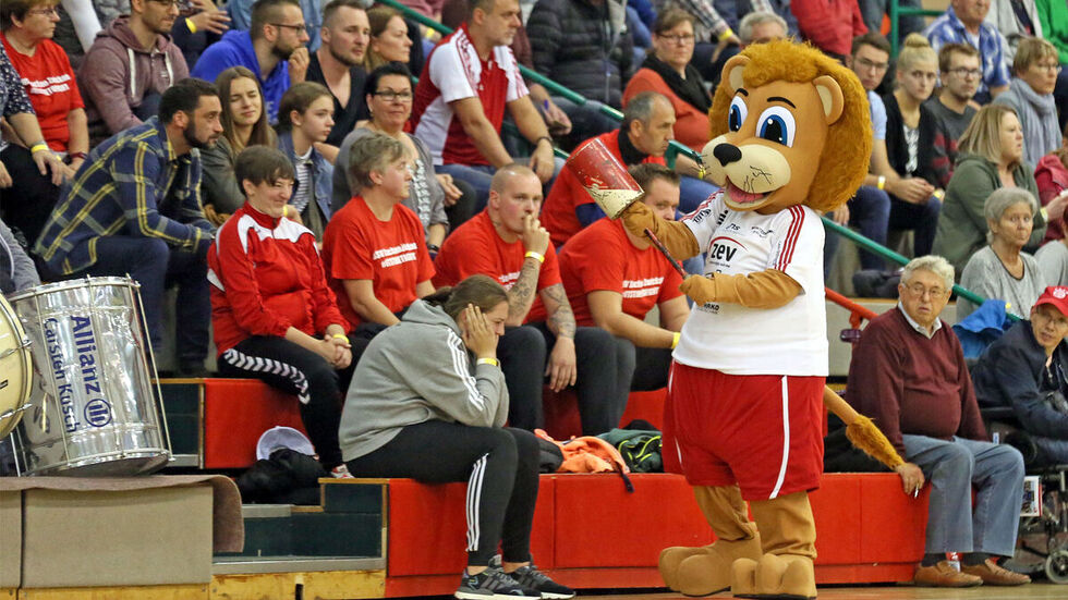 Der BSV Sachsen Zwickau hofft am zweiten Weihnachtsfeiertag auf eine volle Halle.