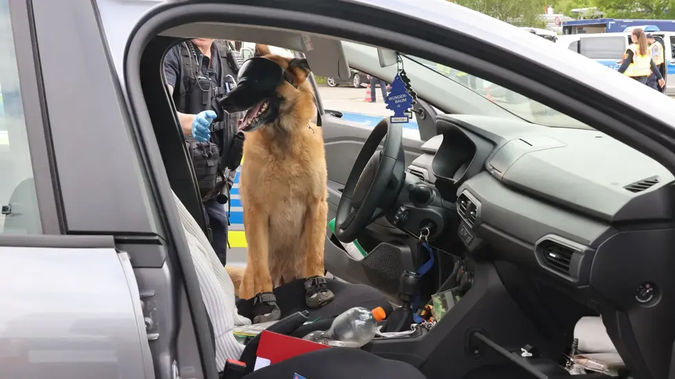 Auch ein Spürhund kam bei der Kontrolle gestern Nachmittag an der Neefestraße zum Einsatz.